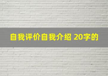 自我评价自我介绍 20字的